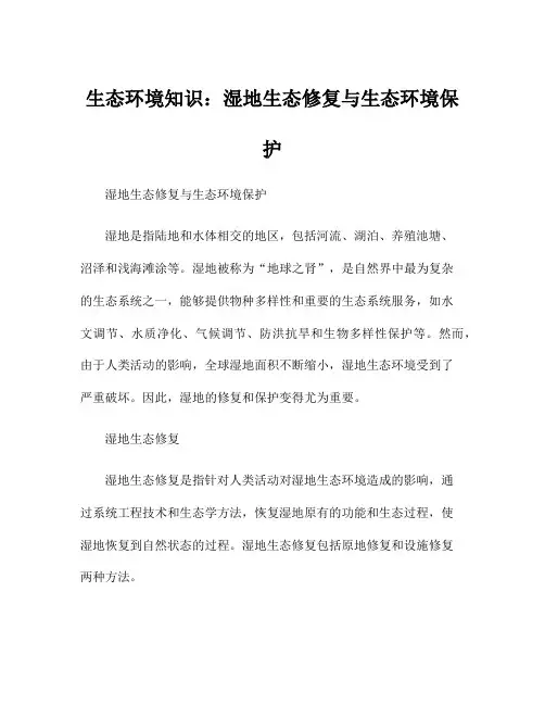 生态环境知识：湿地生态修复与生态环境保护
