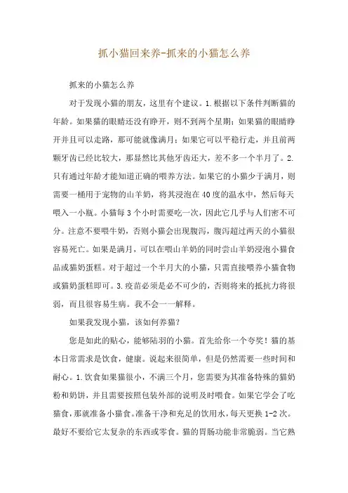 抓小猫回来养-抓来的小猫怎么养