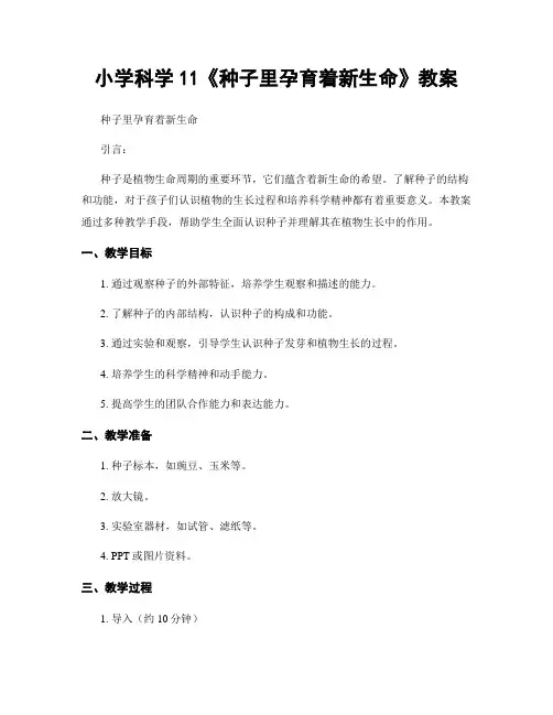 小学科学11《种子里孕育着新生命》教案