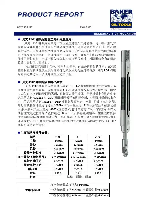 PDP裸眼封隔器产品说明