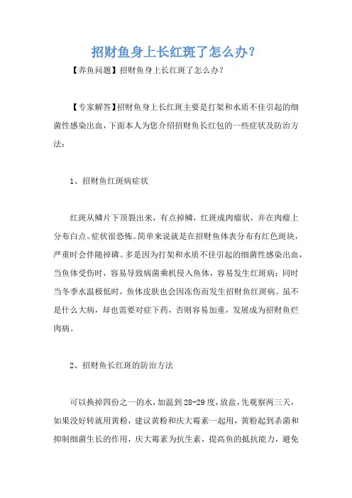 招财鱼身上长红斑了怎么办？