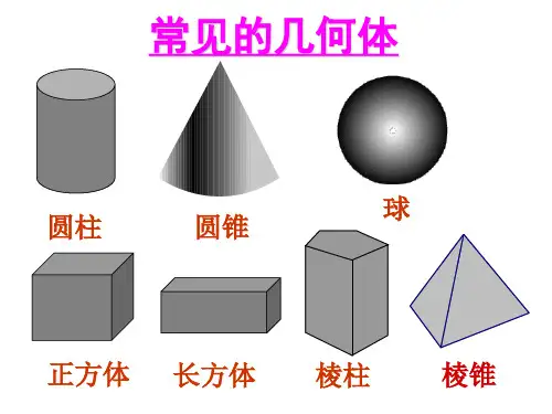 丰富的图形世界复习课件