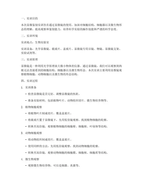 显微鉴别实训报告万能