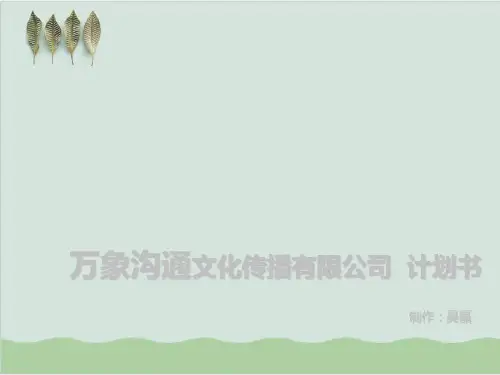 广告文化传播有限公司计划书PPT课件( 30页)