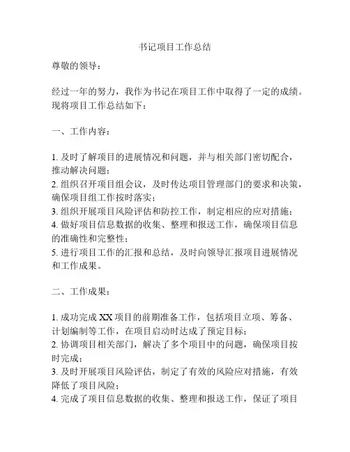 书记项目工作总结