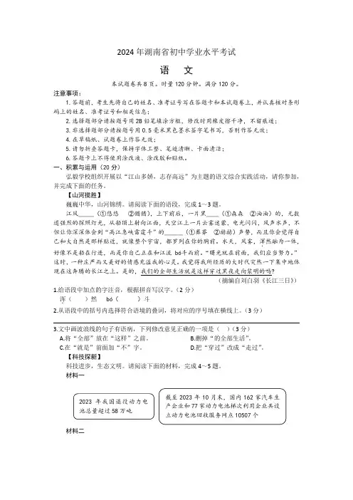 2024年湖南省初中学业水平考试语文试题(含解析)