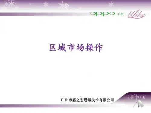 区域市场操作手册