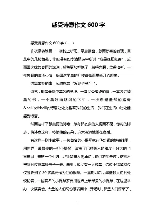 感受诗意作文600字