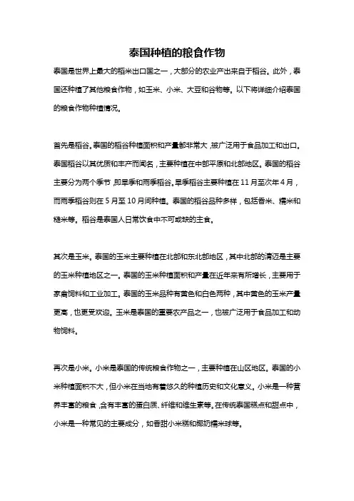 泰国种植的粮食作物