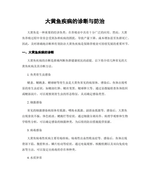 大黄鱼疾病的诊断与防治