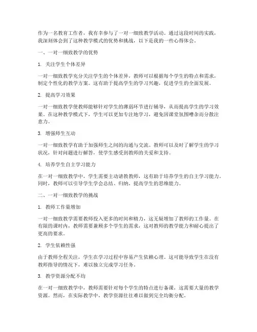 一对一细致教学心得体会