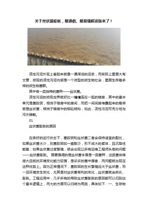 关于丝状菌膨胀，最通俗、最易懂解读版来了！