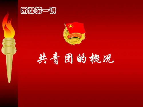 共青团团课课件ppt