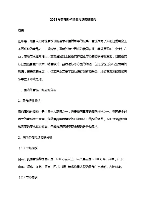 2023年番茄种植行业市场调研报告