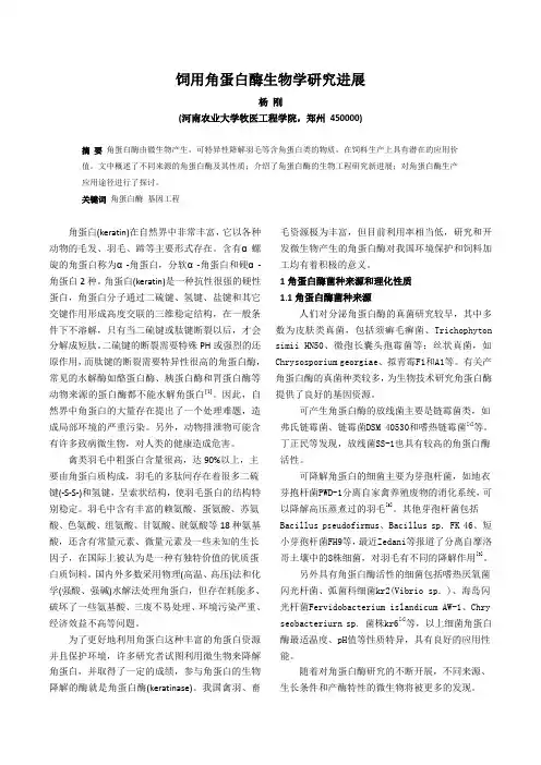 饲用角蛋白酶生物学研究进展