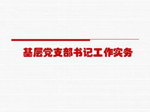 基层党支部书记工作实务