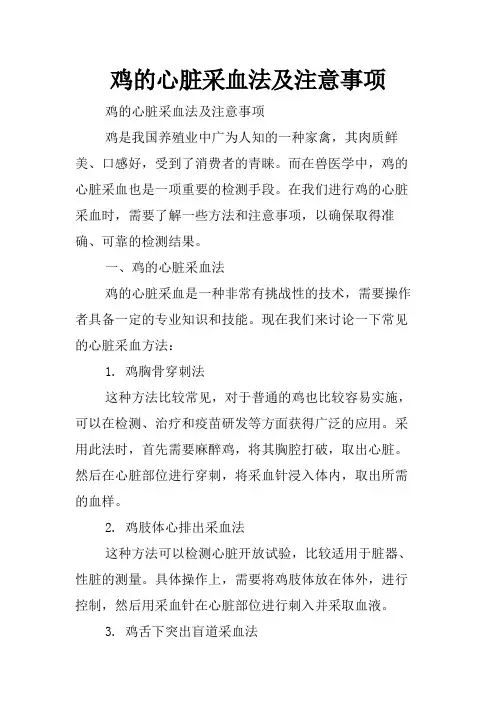 鸡的心脏采血法及注意事项