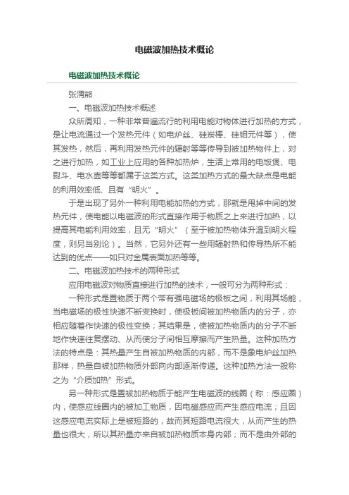 电磁波加热技术概论