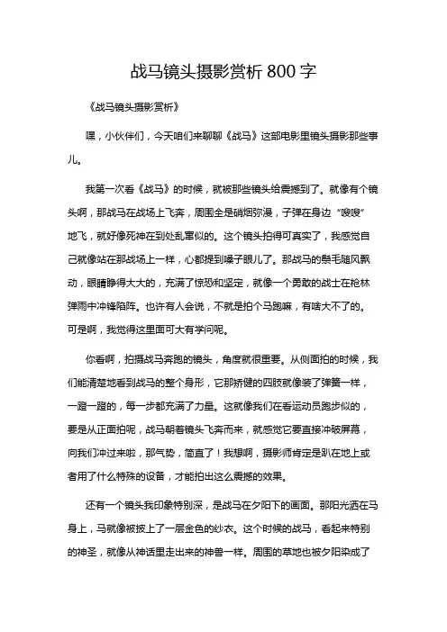 战马镜头摄影赏析800字