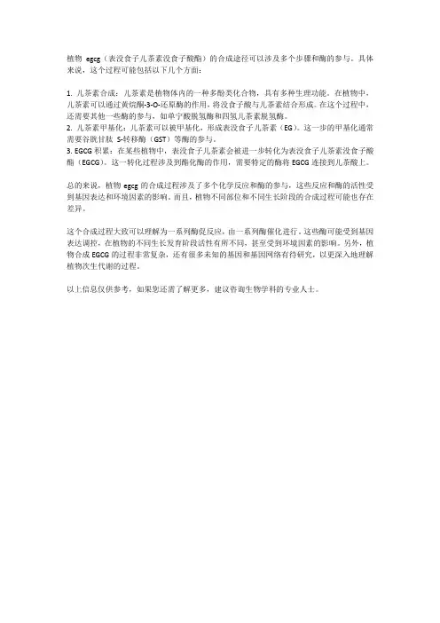 植物egcg合成途径