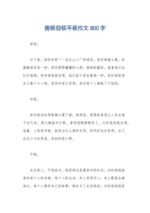 俯视仰视平视作文800字