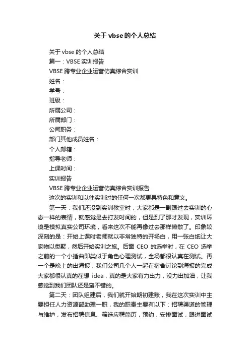 关于vbse的个人总结