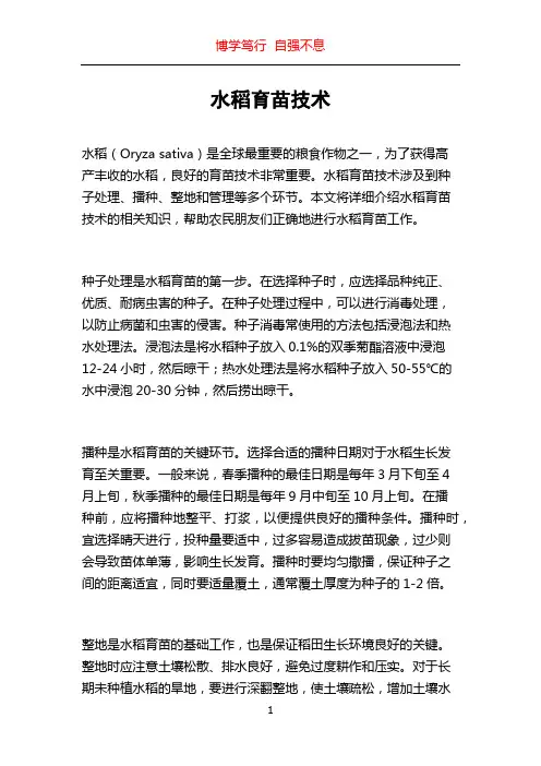 水稻育苗技术