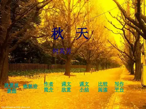秋天 (1)