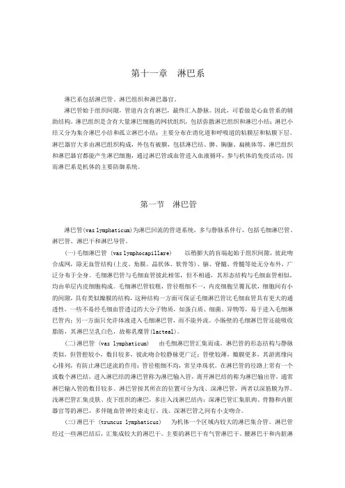 淋巴系统