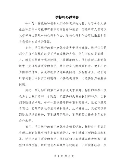 学标杆心得体会