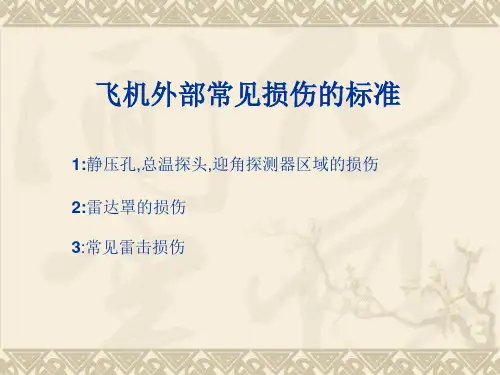 飞机外部结构损伤标准(电子部分)