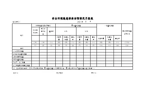 安全环境隐患排查治理情况月报表