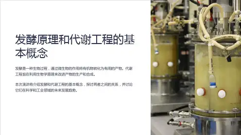 发酵原理和代谢工程的基本概念