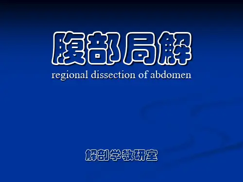 腹部局部解剖
