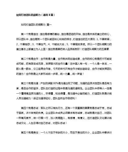 如何打造团队的凝聚力(通用3篇)