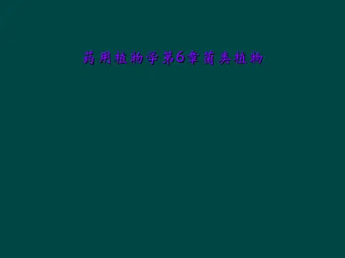 药用植物学第6章菌类植物