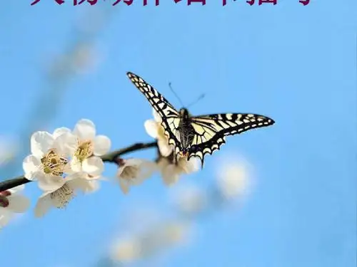 初中作文指导：《人物动作细节描写》PPT