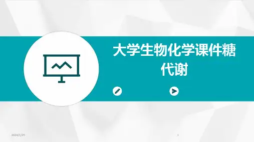 大学生物化学课件糖代谢
