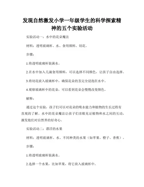 发现自然激发小学一年级学生的科学探索精神的五个实验活动