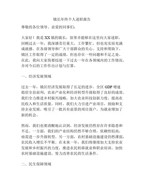 镇长年终个人述职报告