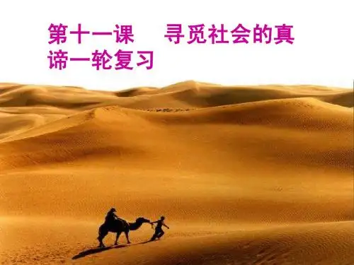 《生活与哲学》第十一课_：寻觅社会的真谛_高考一轮复习