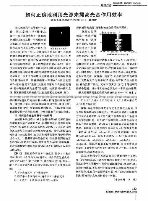 如何正确地利用光源来提高光合作用效率