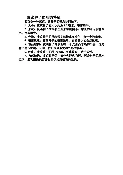 菠菜种子的形态特征