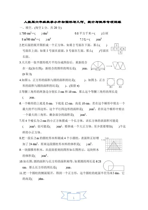 人教版六年级数学小升初图形与几何、统计与概率专项训练含答案
