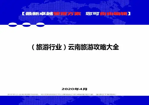 (旅游行业)云南旅游攻略大全