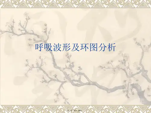 呼吸波形及环图分析课件