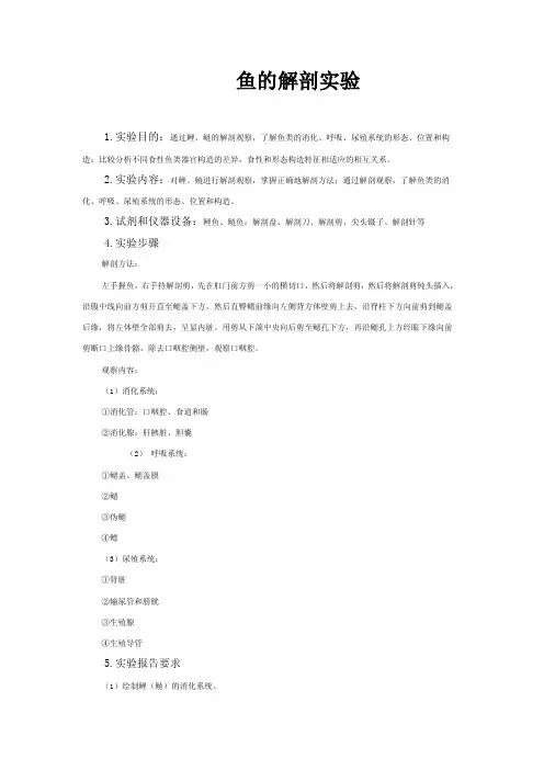鱼的解剖实验