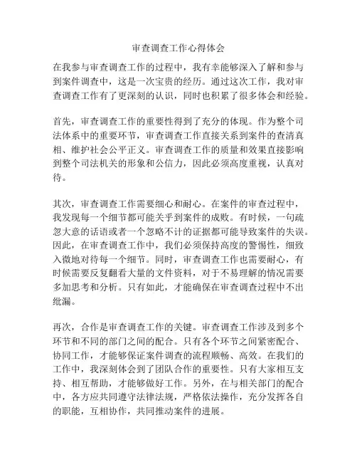 审查调查工作心得体会