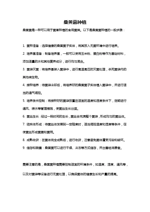桑黄菌种植