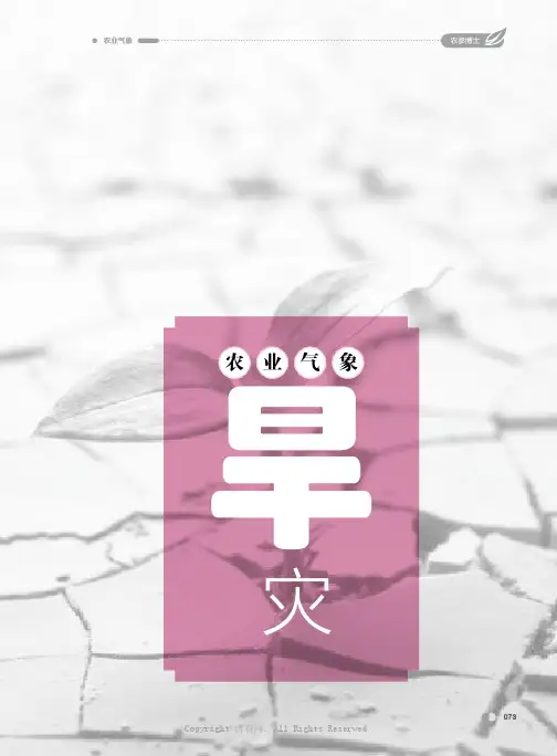 农业气象——旱灾